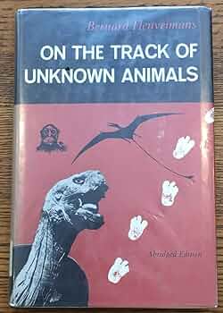 61RQgyyK5fL._AC_UF350,