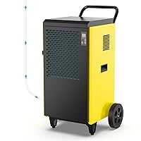 DAHTEC Deumidificatore Elettrico Professionale (max 70 L/24h)
