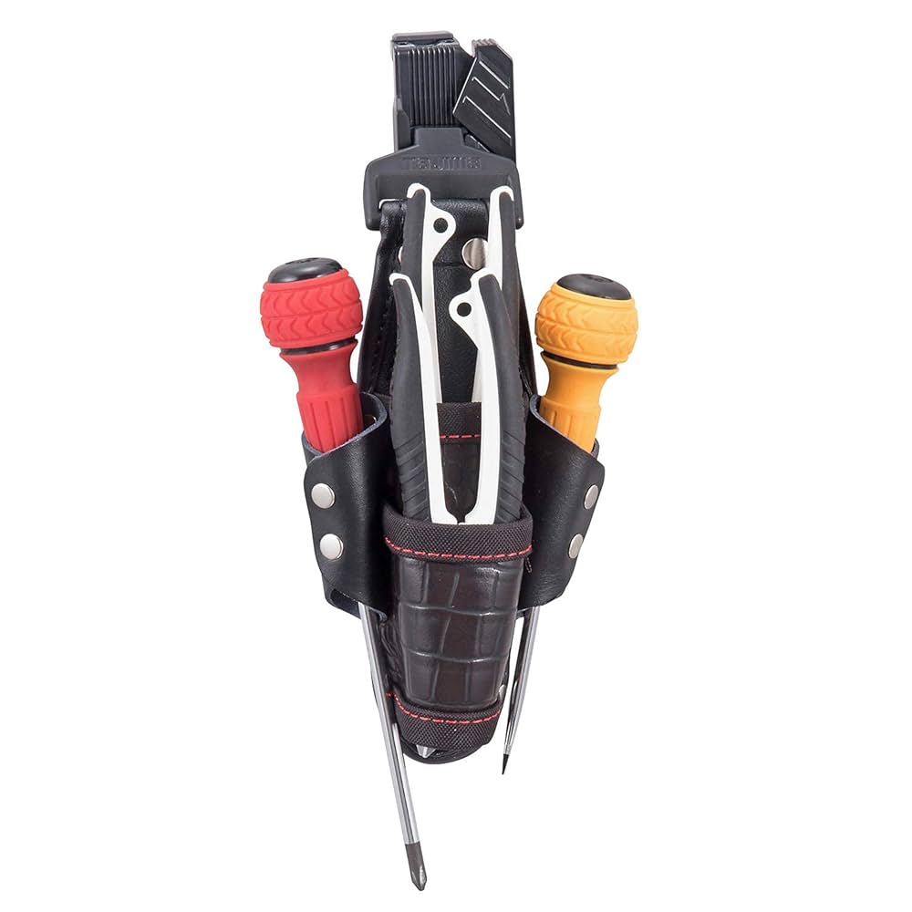 つなし様 専用 トゲナベブタムシ 4匹 標本 本州 Honshu; the main island of Japan - Insect Islands 〜南