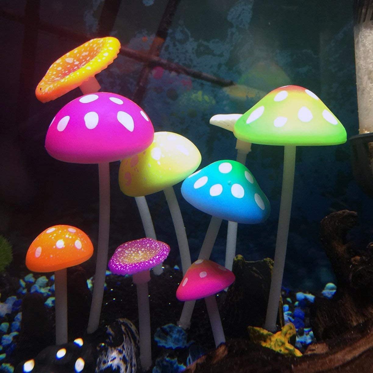 Podazz Lot de 4 Décorations Fluorescentes pour Aquarium, Corail Artificiel et Anémone en Silicone avec Ventouse, Ornements Aquarium pour Eau Douce, Eau de Mer, Nano Bac et Décor Récif