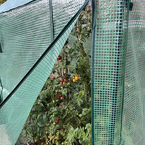 Byhagern Mini Greenhouse For Outdoors & Indoor, Waterproof & Uv-Proof Small Greenhouse With Wooden Garden Bed 47" W X 31" D X 63" H… #TOP3