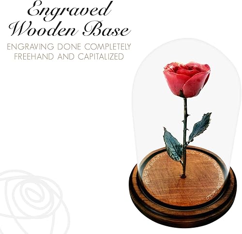 Miniatura 2 de Forever Rose Rojo encantado en cúpula de cristal inspirado en la flor de la Bella y la Bestia, rosa preservada grabada a mano Rosa sumergida a mano