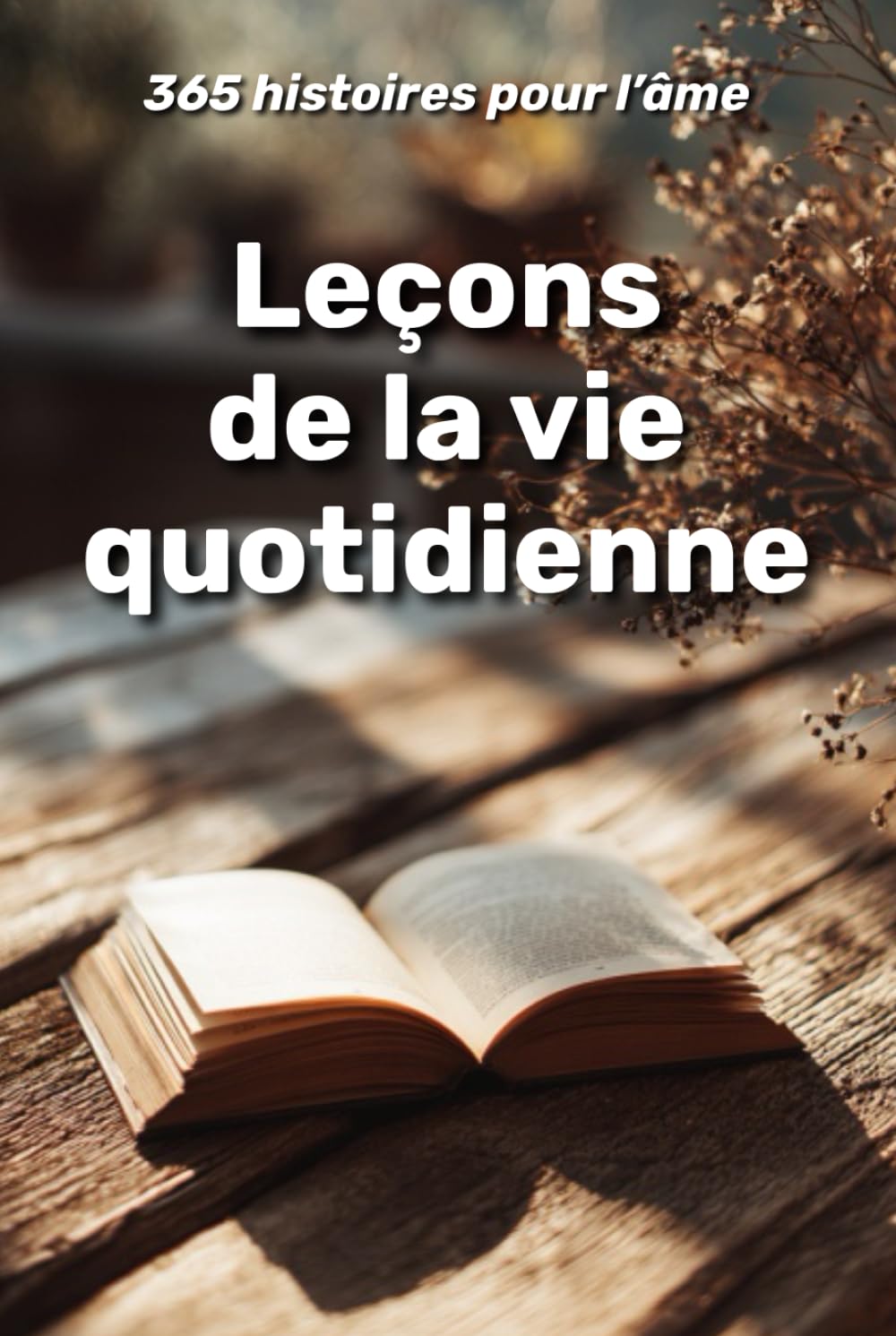 Leçons de la vie quotidienne : 365 histoires pour l’âme