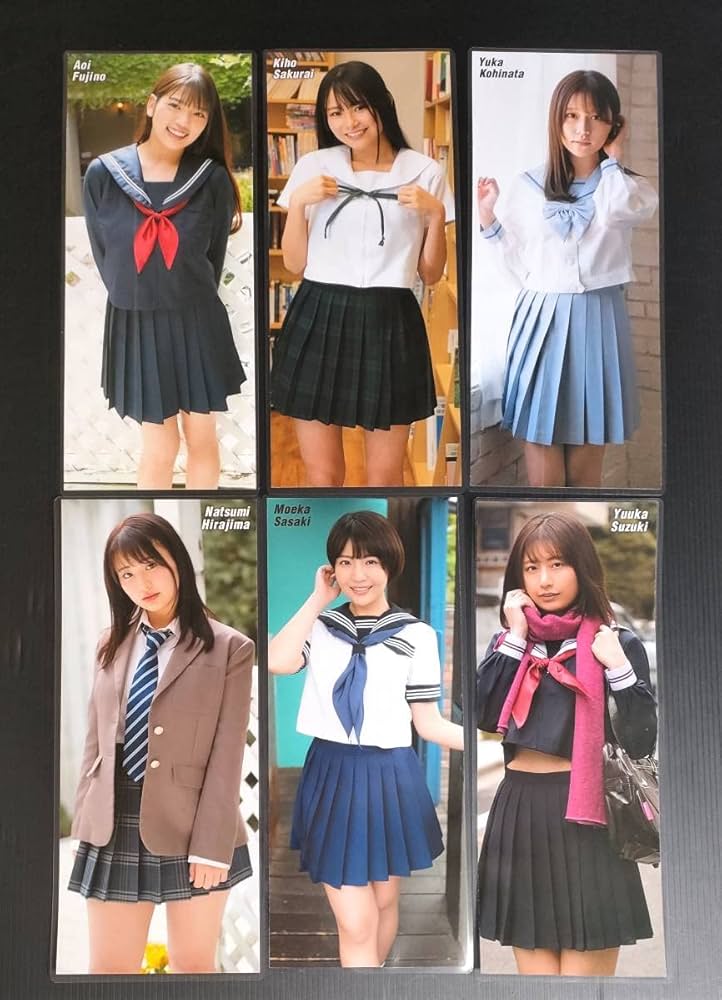 No.9 ハイスクールD×D 切り抜き ラミネート No.9 ハイスクールD×D 切り抜き ラミネート No.5 ハイスクールD×D