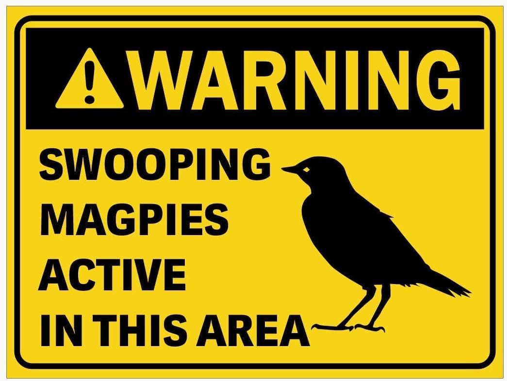 Warning Swooping Magpies In This Area Warning Metal Sign Tin Signs Aluminum Plaque for Outdoors Use Yard Farm Fence Home Wall Decor 8x12inch