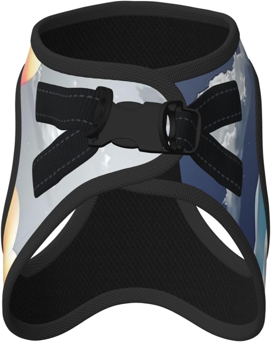 Psychedelic Landscape Pet Vest Small Size Dog Harness and Leash Set, Reflective & Breathable for Puppy Training with Accessories Medium