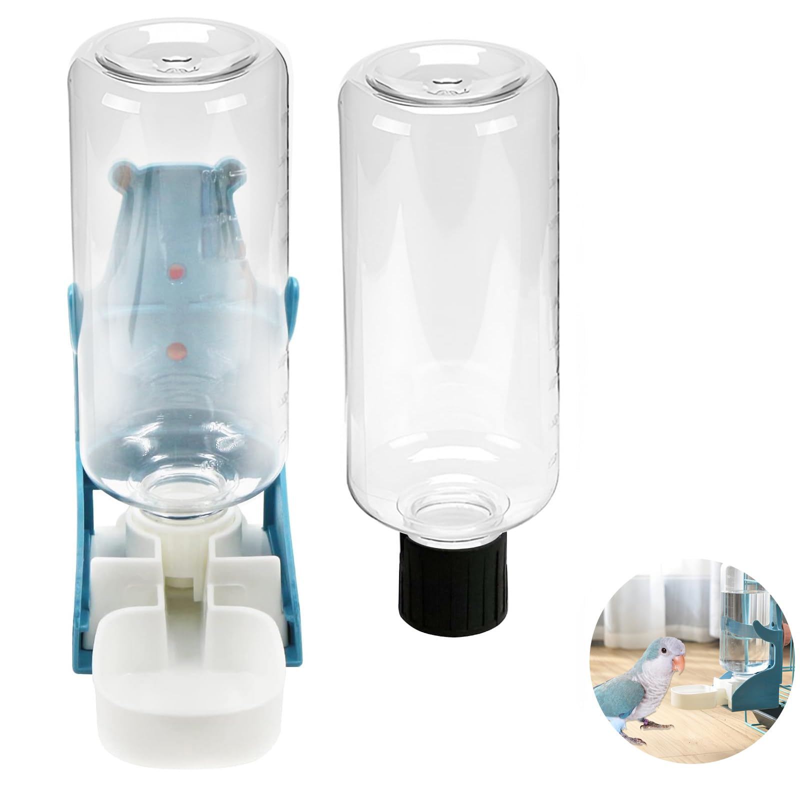 Bebedero para pajaros