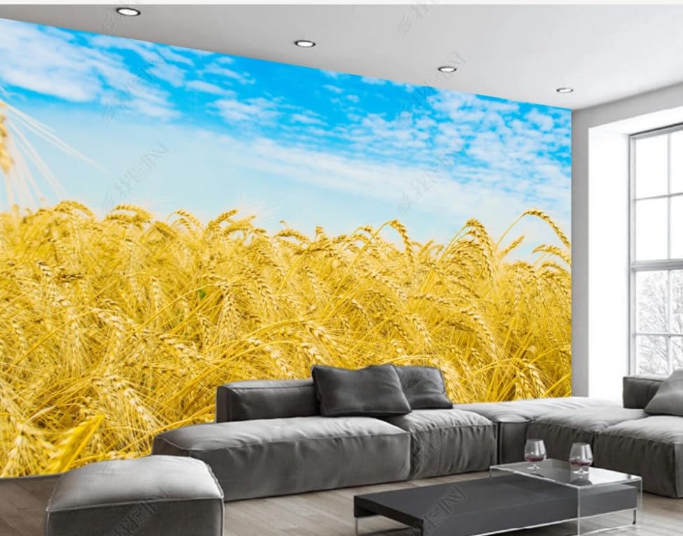 Papier peint intissé rizières 250x175 cm pour deco de salon