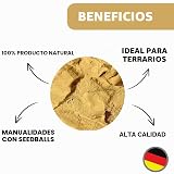 Ver la foto 2