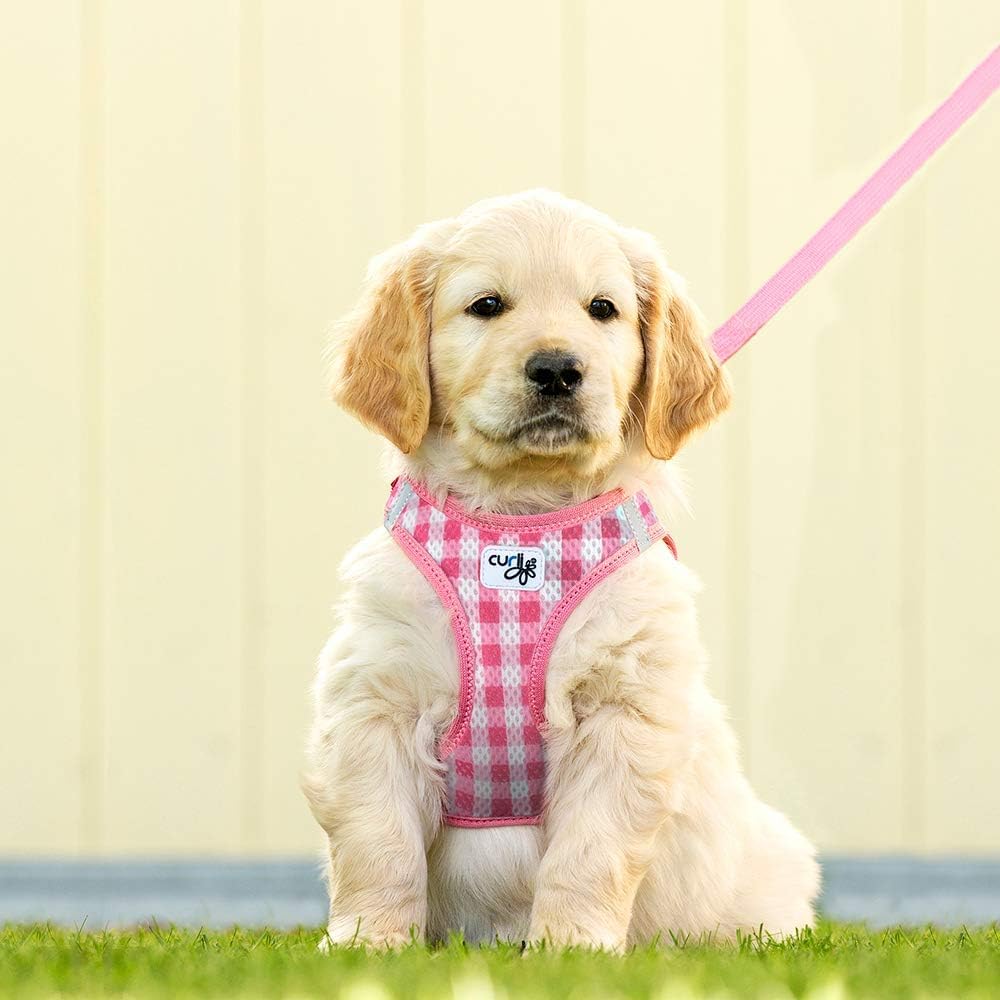 Vest Harness Air-Mesh Skyblue-Circles M & Leash L