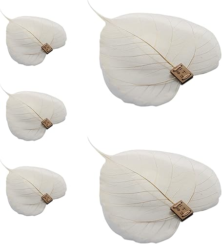 5 coladores de hojas de té, colador de té de hoja Bodhi natural, filtros de té portátiles de malla fina para té de hojas sueltas, filtro de hojas de