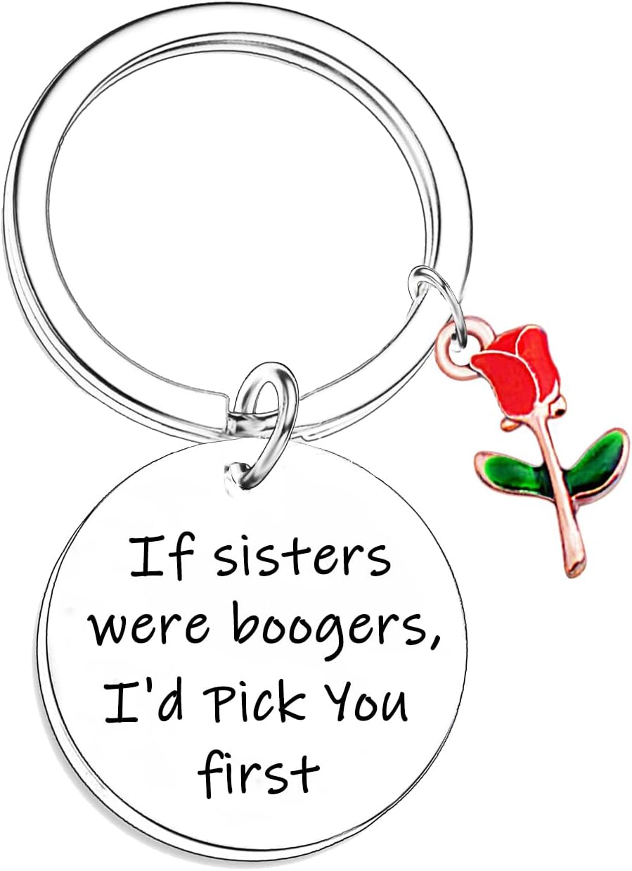 Nimteve Funny Sister Gifts Sister Keychain Sister Birthday Gift Ideas Christmas Valentines Gifts for Sister from Sisters Brothers If Sisters Were Boogers Keychain Sister Jewelry