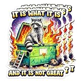 [3PCS] It is What It is and Its Not Great Sticker Funny Raccoon Dumpster