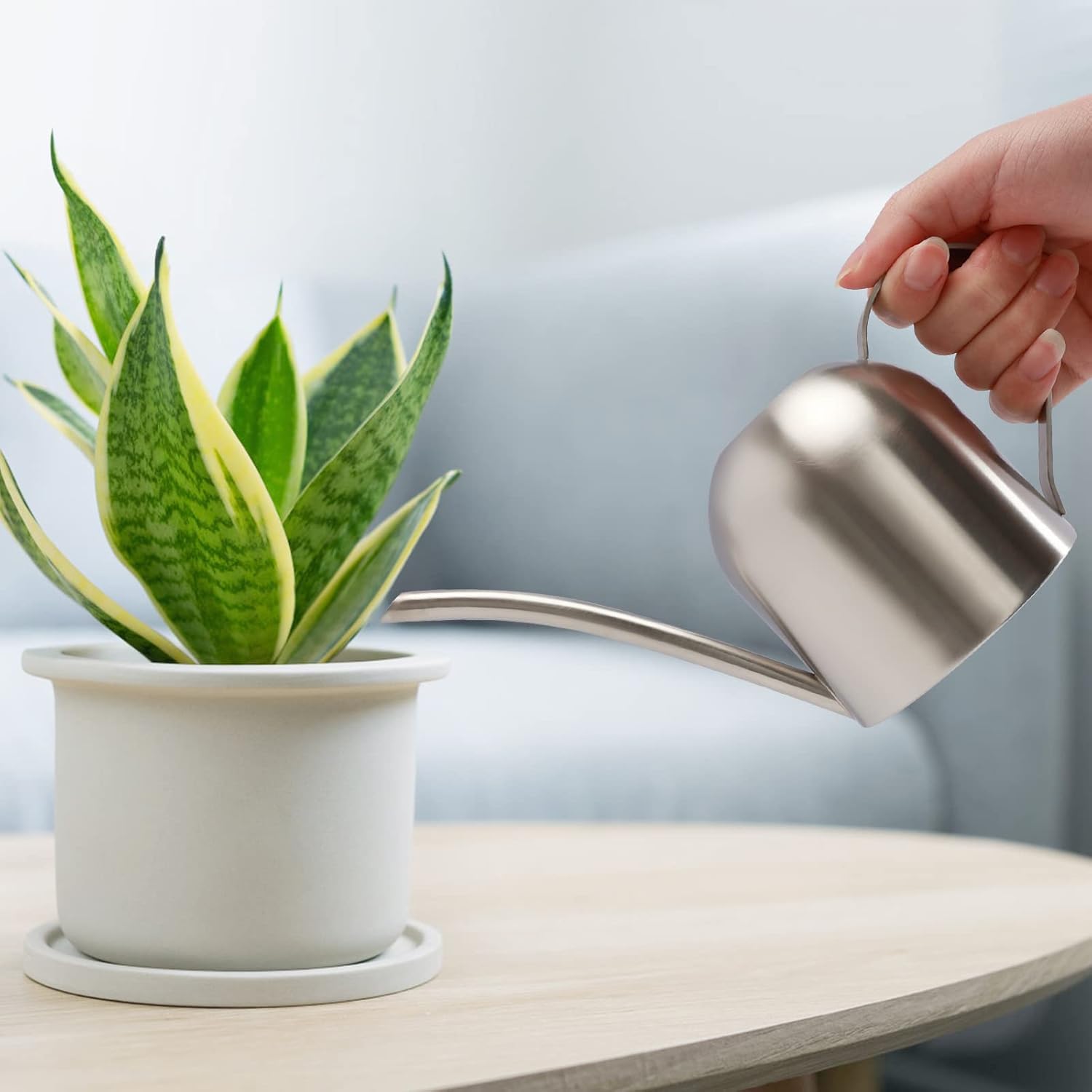 12 Mini-Gießkannen Aus Eisen - Deko Für Zimmerpflanzen & Kinderspielzeug