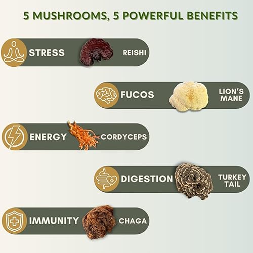 Miniatura 3 de Mushroom Plenty Extracto de 5 hongos  Alternativa al café  Melena de león, Reishi, Chaga, Cordyceps, cola de pavo  Aumenta la energía, la