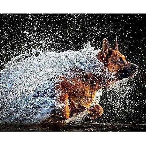 Qingdewan Wooden Adult Jigsaw 1000 Piece Running German Shepherd Very Challenging Adult And Teen Casual Jigsaw Puzzle Large Size Puzzle Cover