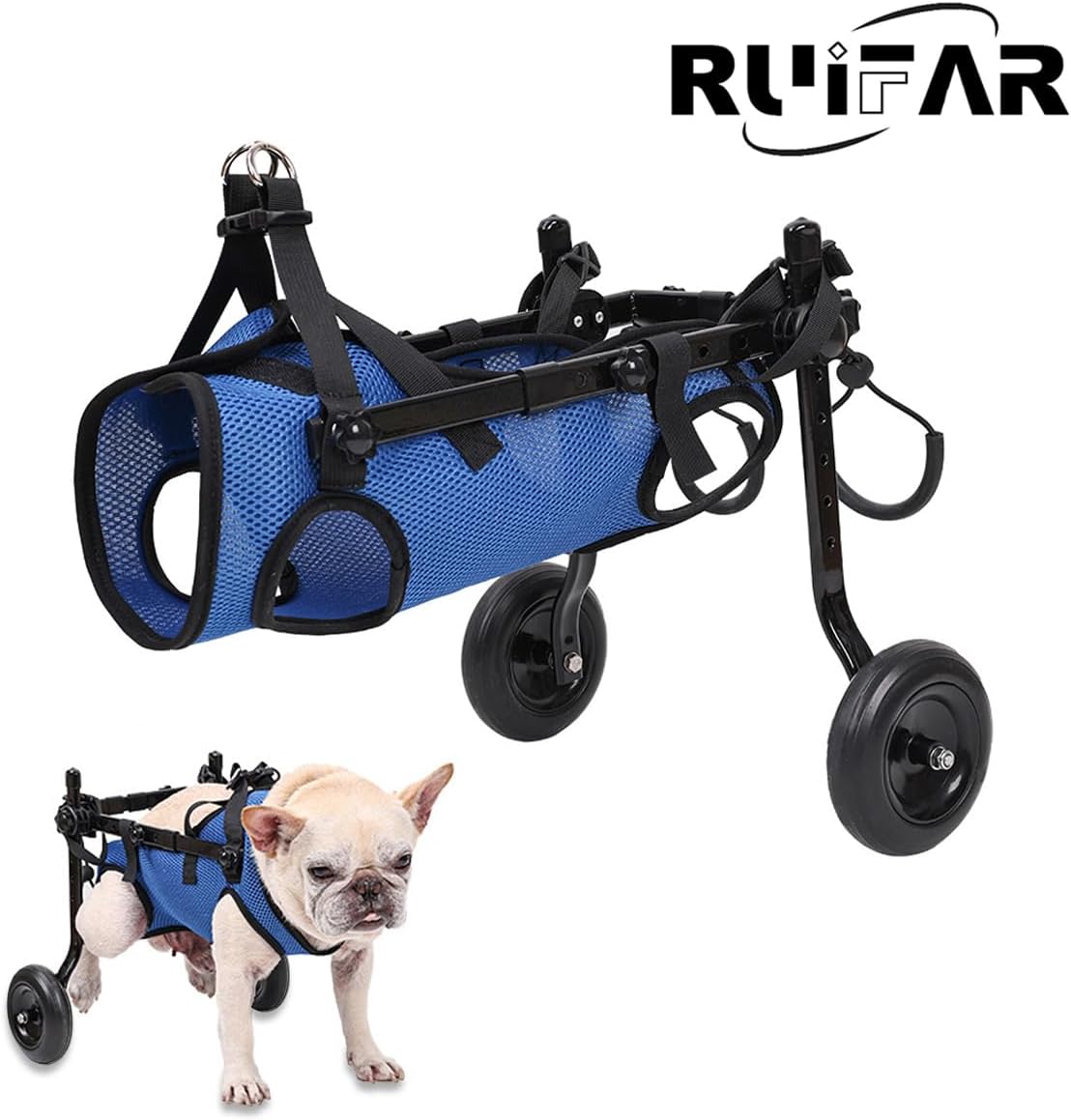 Small Dog Wheelchair, New 2Wheeled Cat Wheel Chair