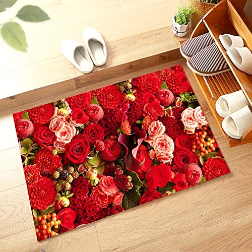 Tapis de porte d'entrée lavable idéal pour une cuisine moderne