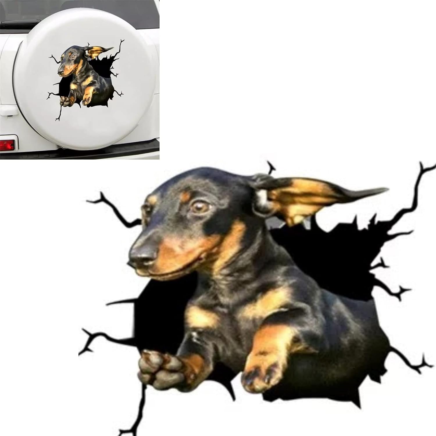 Coolthick カーステッカー 車 トラック ステッカー 犬 おもしろ 面白い 動物 ペット C Faz Co Zm