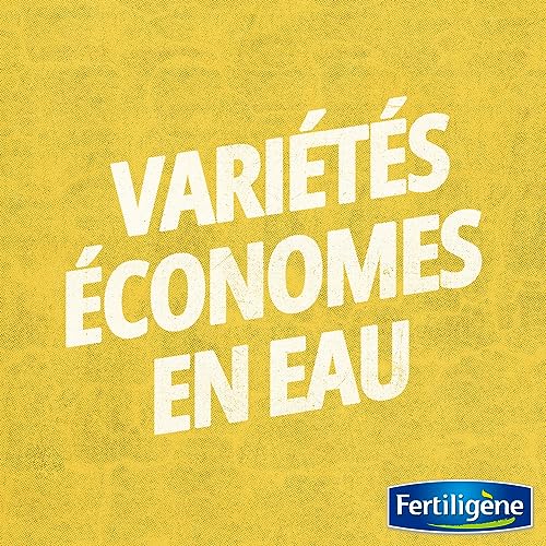 Semences gazon terrain sec Fertiligene solution pelouse brûlée plein soleil 35m² - 3