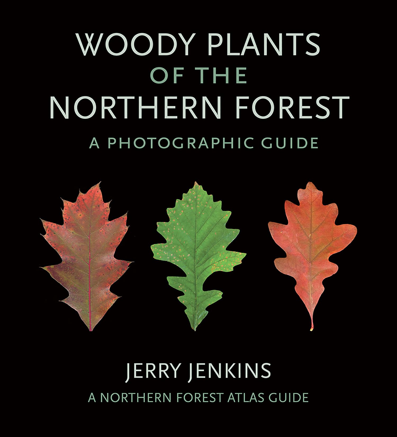 Woody Plants of the Northern Forest: A Photographic Guide (The Northern Forest Atlas Guides)
