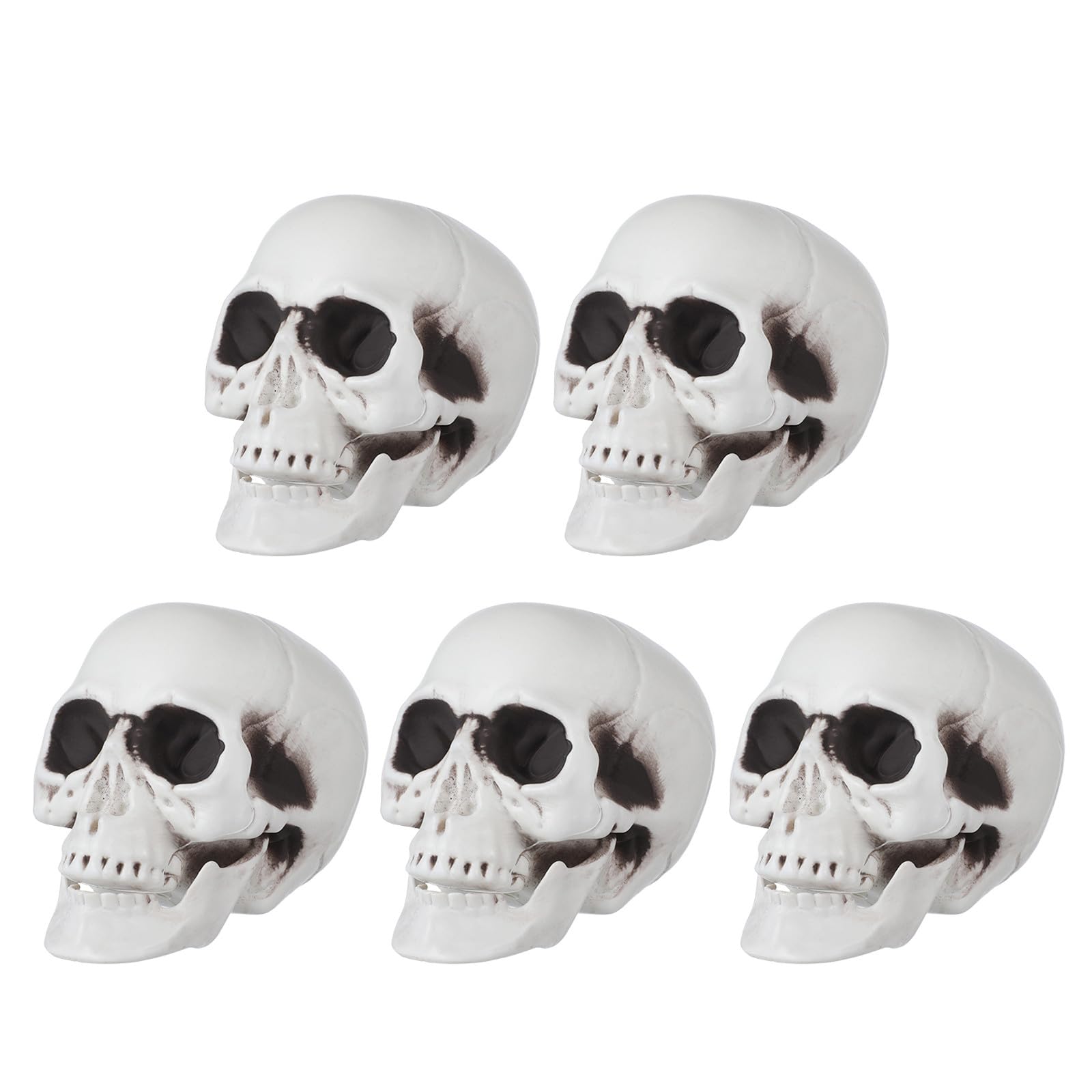 Mini têtes de mort réalistes Ciieeo en lot de 5 pour déco