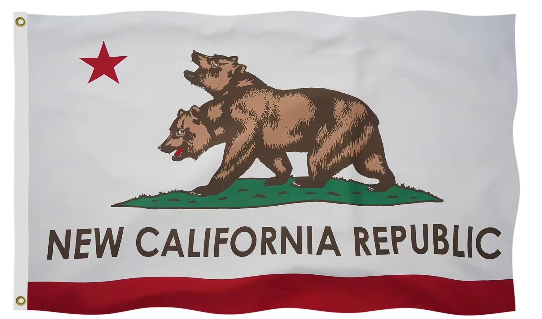 Amazon.com : New California Republic Flag 2X3FT – New CA State