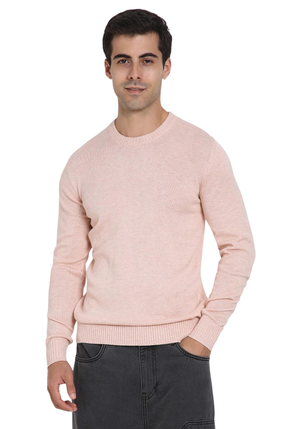 american eagle Men's Printed Sweater-picture-38