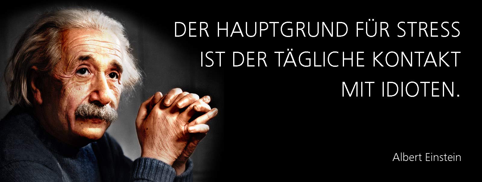 FS Albert Einstein Saying "Der Hauptgrund für Stress ist der DAYWEAR Kontakt mit Idioten" Black Tin Sign Curved Metal Sign 10 x 27 cm