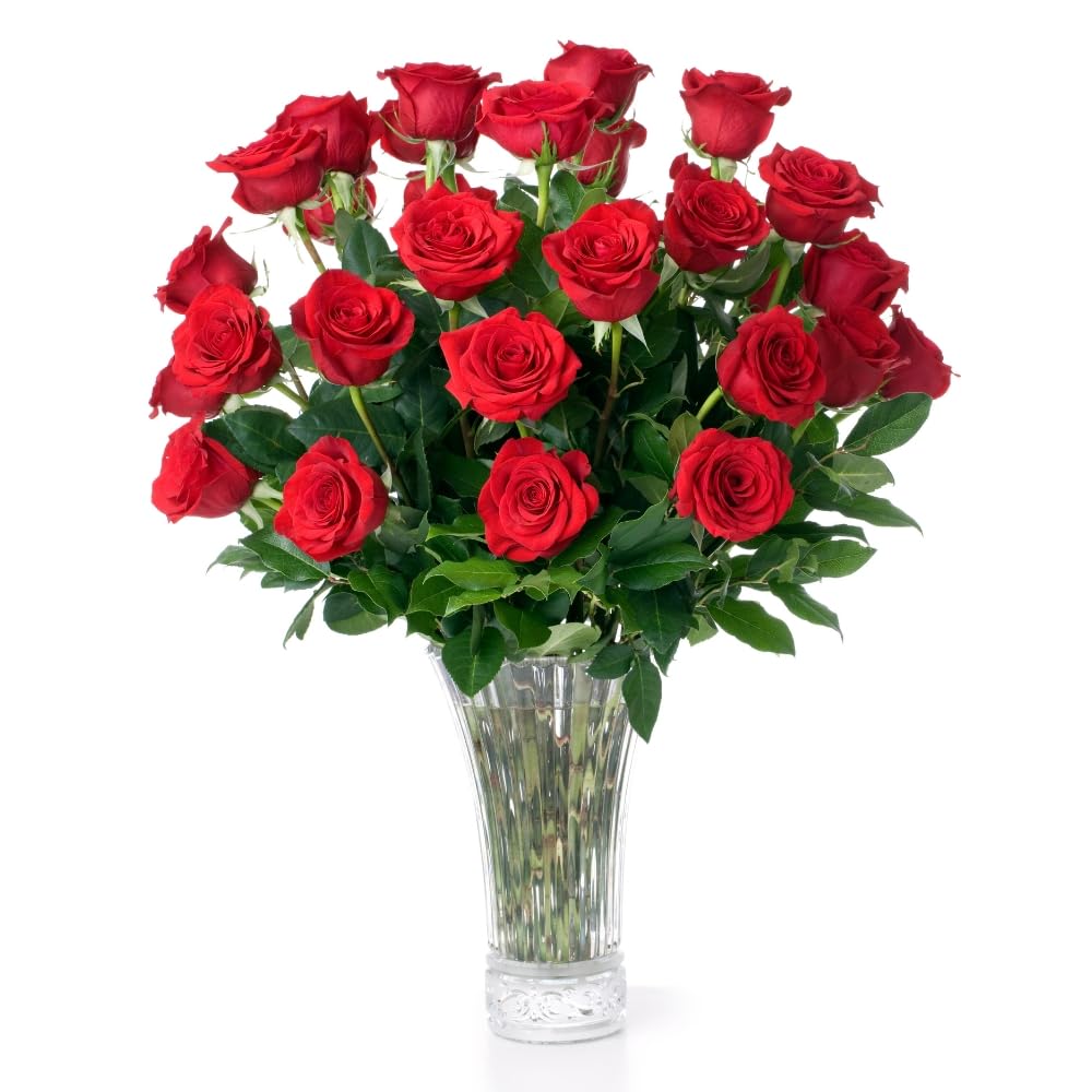 Aquarossa Farms – Flowers for Delivery, Fresh Flowers Bouquet, Handpicked from the Farm, Gift for Birthday, Anniversary, or Just Because – 24 Fresh Roses
