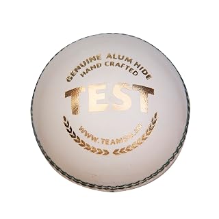 SG Cricket Balls Test (White)