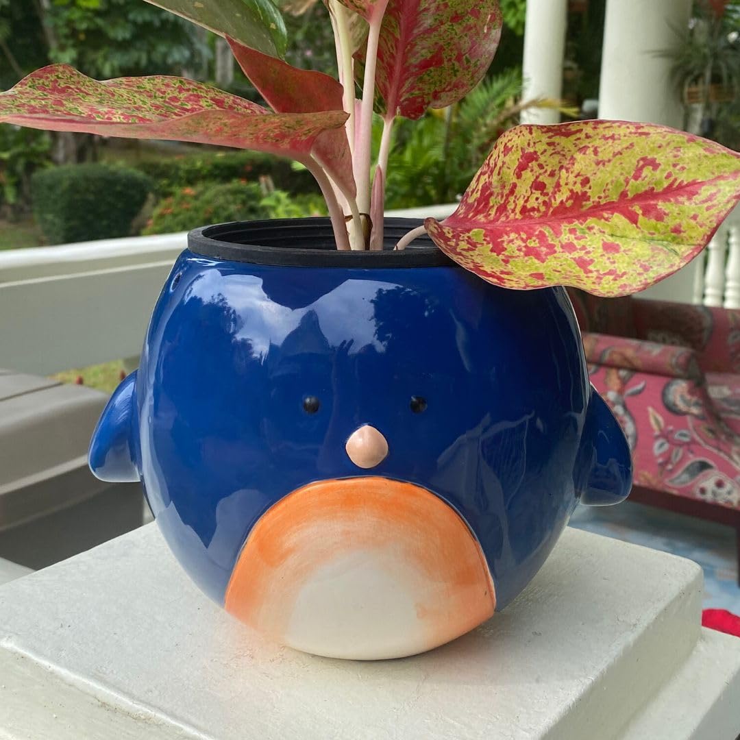 Amazon.co.jp: Fabupotalus Bobby Bluebird 大型ハンギングプランター