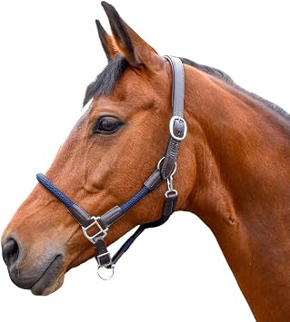 Whitaker Raywell leather and rope headcollar