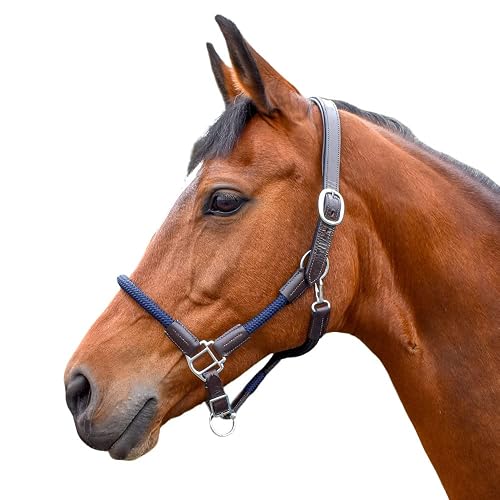 John Whitaker Whitaker Horse Pony Leather and Rope Headcollar, Unisex, Azul Marino, Plein