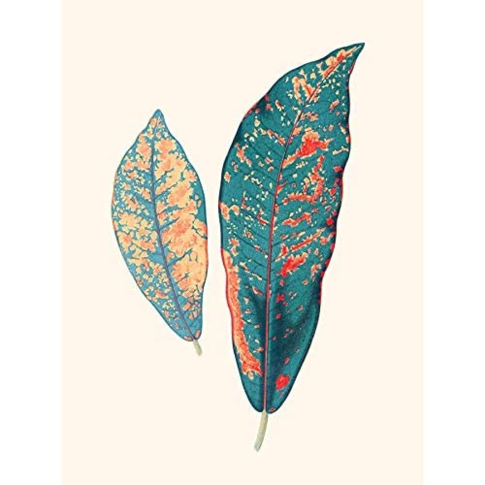 Wee Blue Coo Primary Coloured Exotic Leaves Art Print Canvas Premium Wall Decor Poster