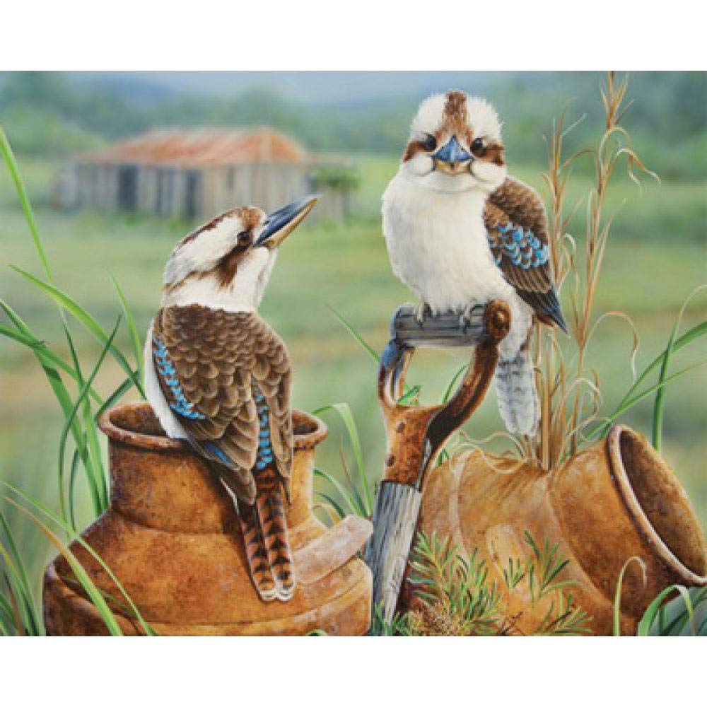 Peinture diamant oiseau 50x60cm pour décorer le salon en DIY