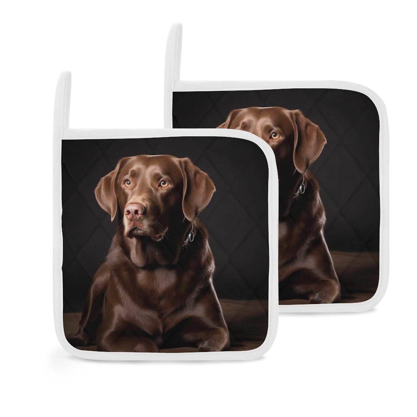 Pot Holders Set of 2 Kitchen Heat Resistant Potholders Brown Labrador Retriever Cotton Lining Oven Hot Pads for Cooking Baking BBQ Microwave Kitchen Accessories