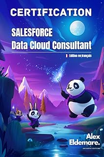 Certification SalesForce Datacloud Consultant: Entrainement et quizz commenté