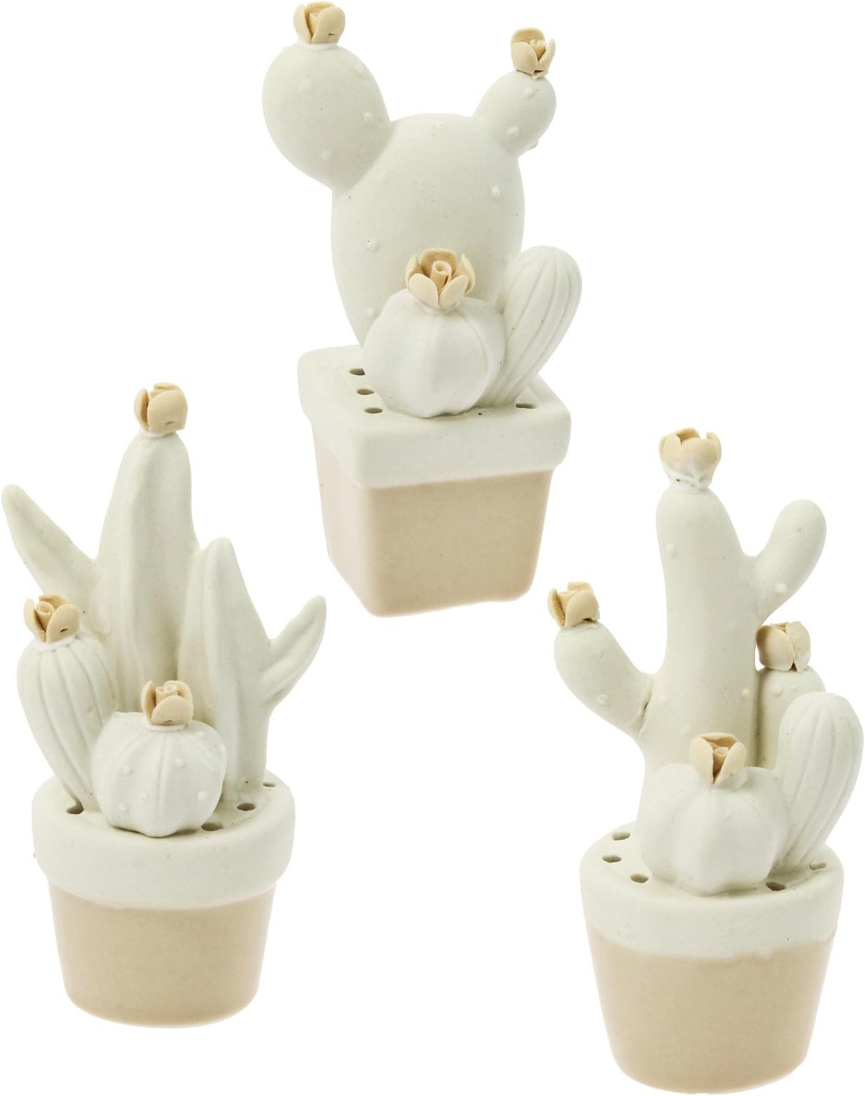 Set of 3 Assorted Seedlings Cactus 3 Pieces Porcelain 4 x 9