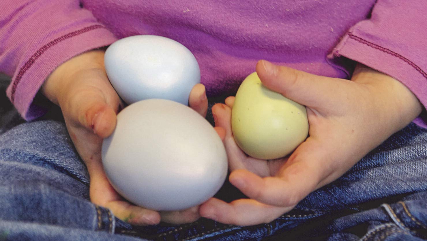 Yellow Door Size-Sorting Eggs, Set of 8