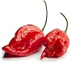Viridis Hortus - 20 x Carolina Reaper Extremely Hot Chilli Pepper Fruit/Vegetable Seeds