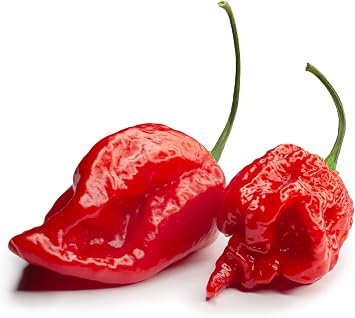 Viridis Hortus - 5 x Carolina Reaper Extremely Hot Chilli Pepper Fruit/Vegetable Seeds