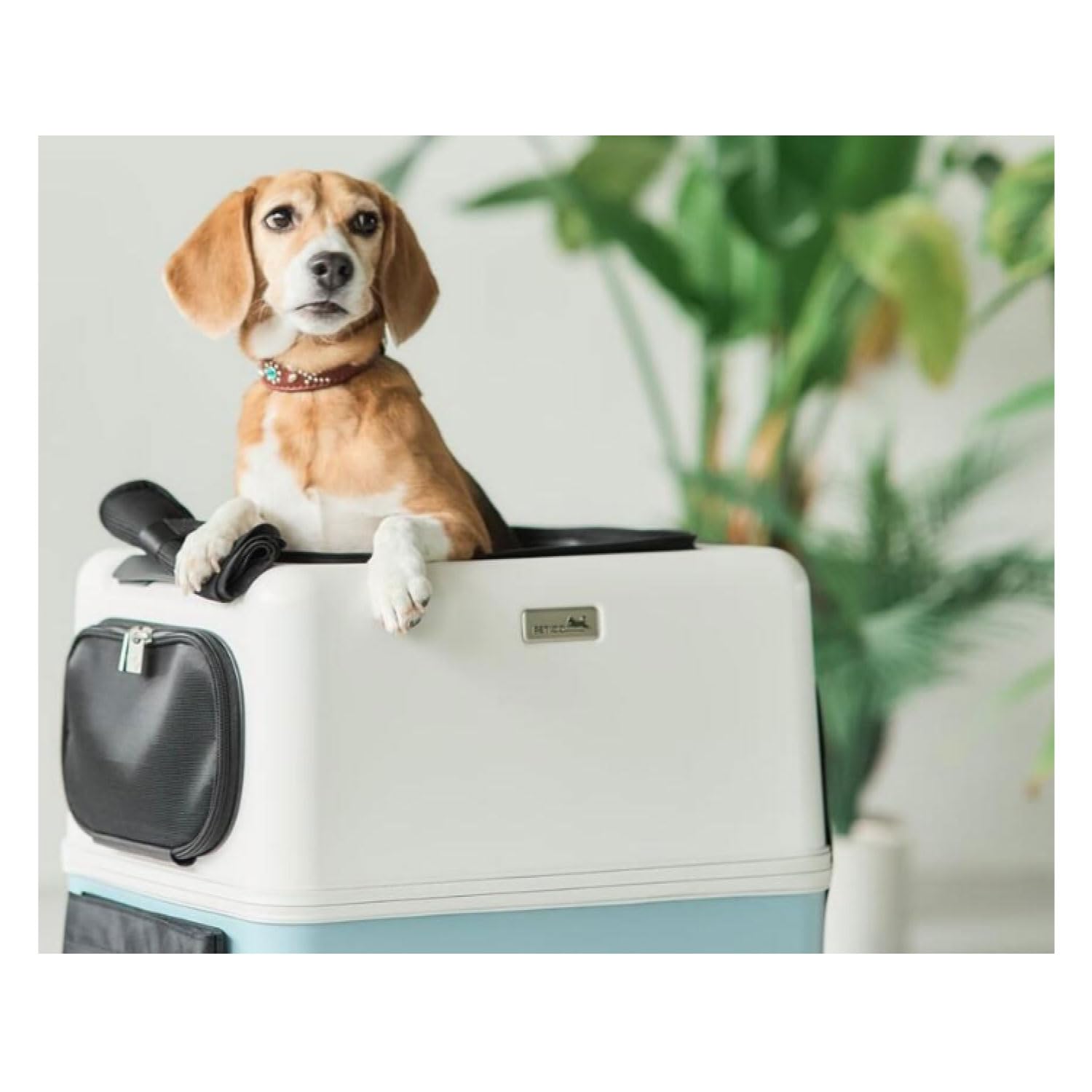 Amazon | 3004-L iCO+ 犬キャリーカート PETiCO ペチコ わんちゃん用
