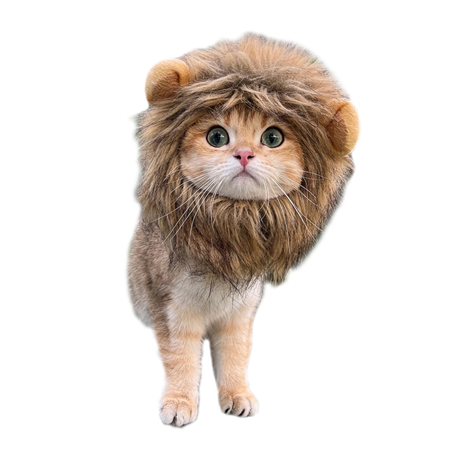 Disfraz de melena de león de gato, disfraz divertido de melena de león, disfraz divertido de gato, accesorios de vestir, suministros para mascotas