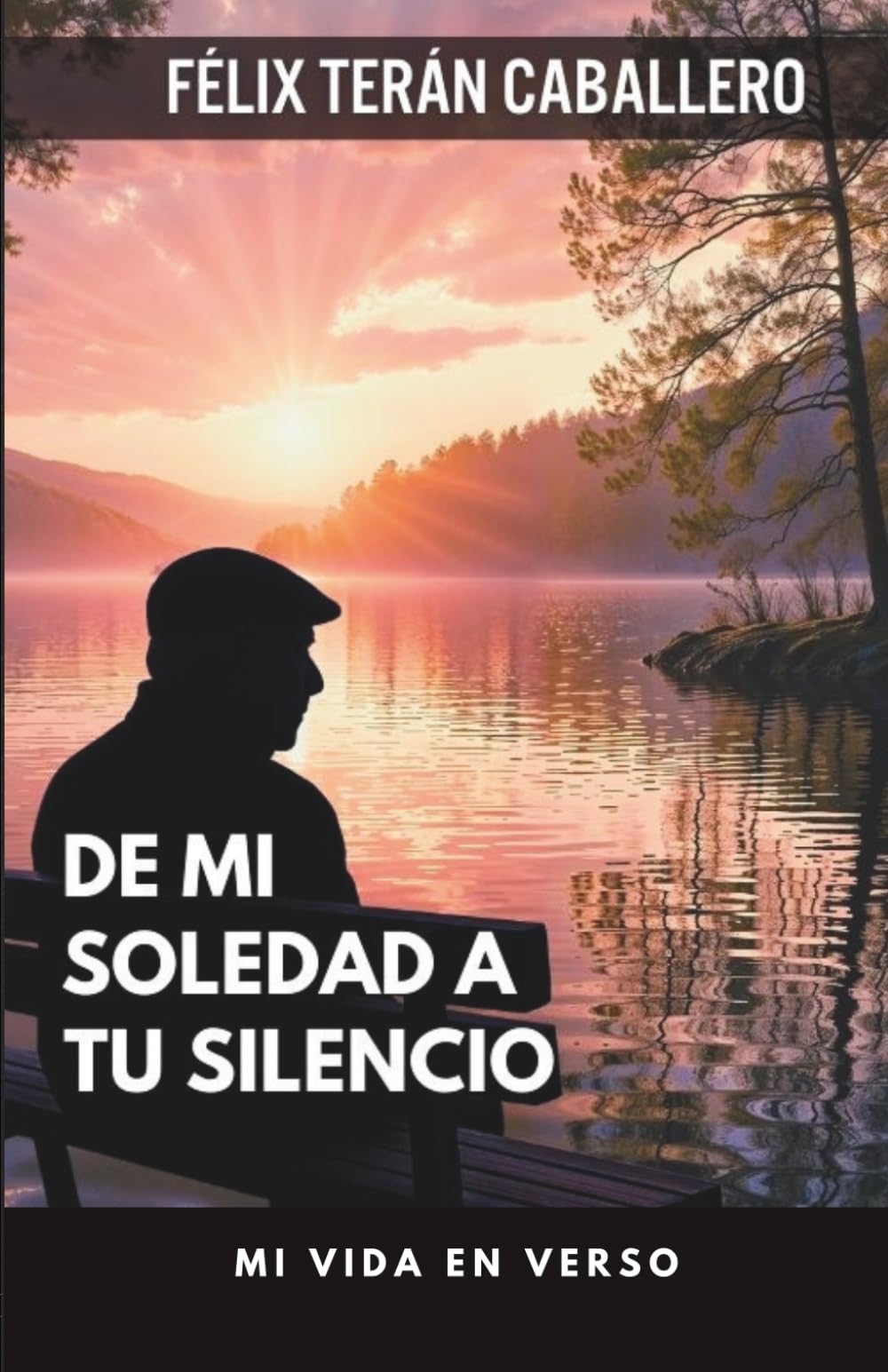 DE MI SOLEDAD A TU SILENCIO: Mi vida en verso