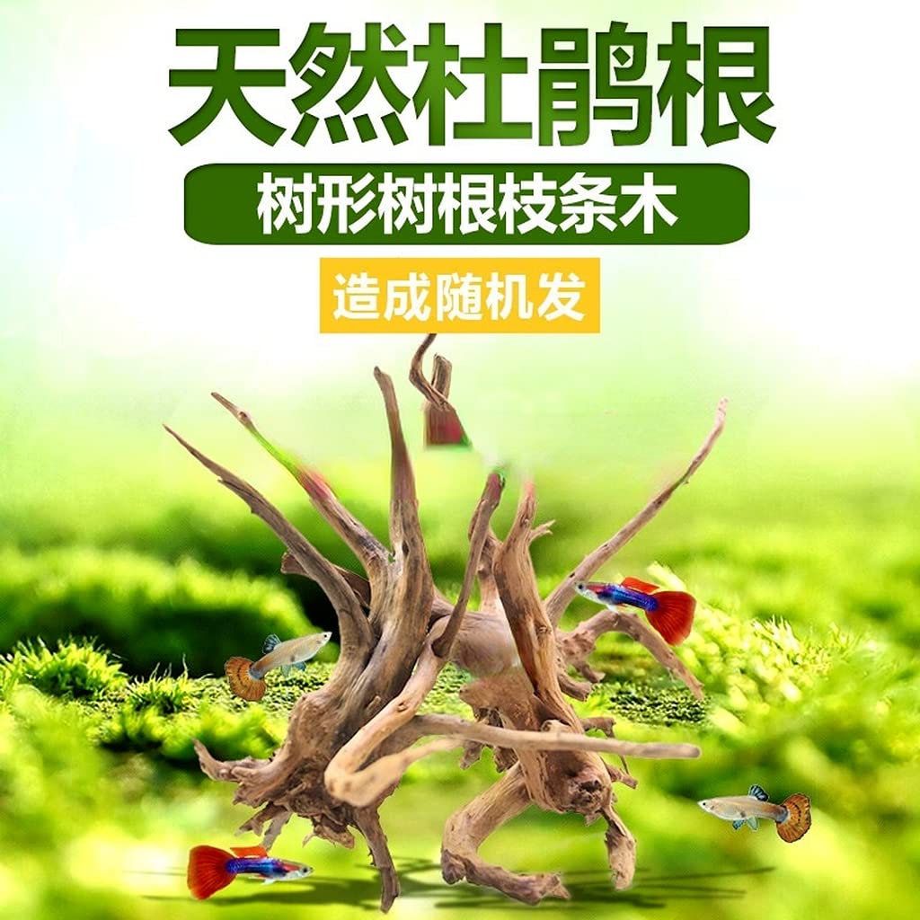 飾り根　流木根　飾り台共　オブジェ 51f0e5ZEYwL._UF894,1000_QL80_.jpg