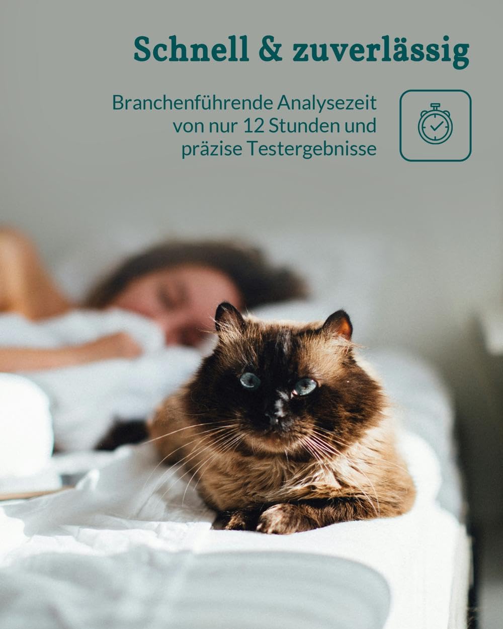 vetevo Wurmtest Katze Plus, Inkl. Giardien, Bandwürmer, Lungenwürmer Katze, 10x Wurmtest für Katzen, Ergebnis in 24h, alle Katzen
