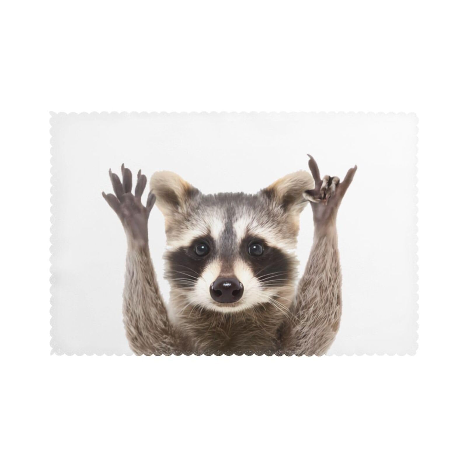 YYHHAOFA Racoons Prints Placemats Set of 6 12x18in – Create Cozy Table Settings for Everyday Moments & Special Gatherings