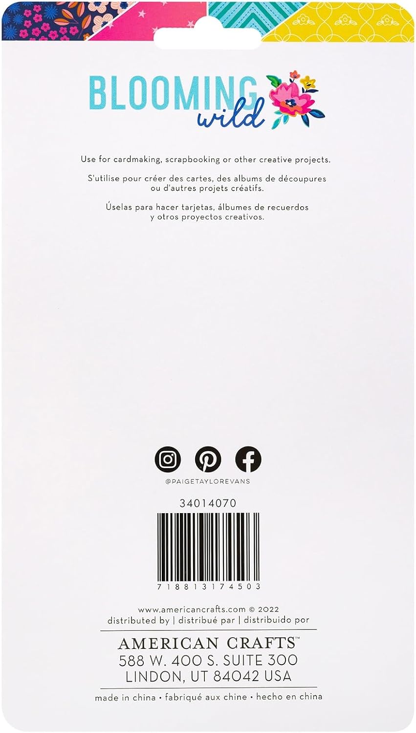 Paige Evans Blooming Wild Chipboard Mini Frames 18/Pkg