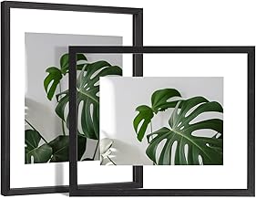 Egofine 11x14 Floating Frames Set of 2, Double Plexiglass Picture Frame, Made of Solid Wood Display Any Size Photo up to 11x14, Wall Mount or Tabletop Standing, Faded Black